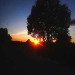 Silhouette trees on field against sky at sunset