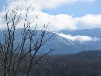 Scenic view of tree mountains against sky