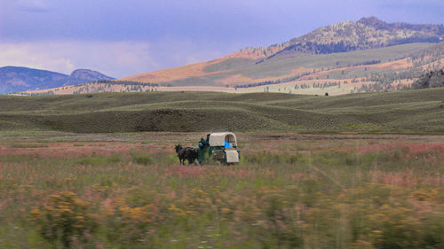 Horse cart on field by mountains against cloudy sky during sunset