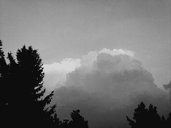 Low angle view of silhouette trees against sky