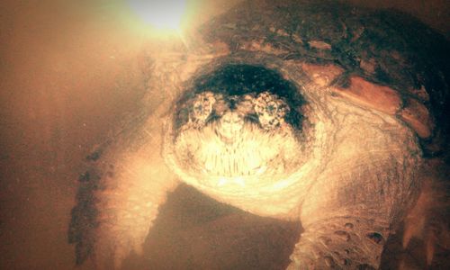 View of illuminated lights