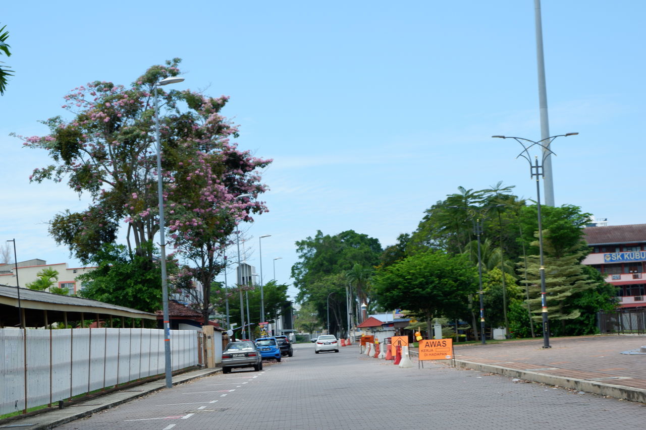 ROAD AMIDST TREES AND CITY AGAINST SKY