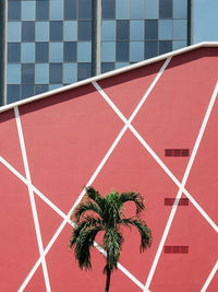 Palm tree against red building