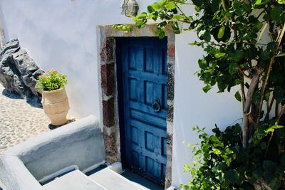 Low angle view of potted plant against building