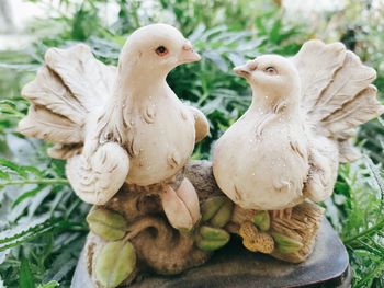 Pigeon statue in love leafs background concept 