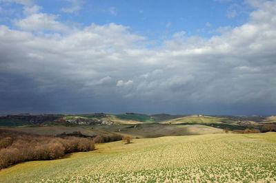 Scenic view of agricultural field against sky