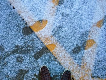 Low section of person standing on snow covered road