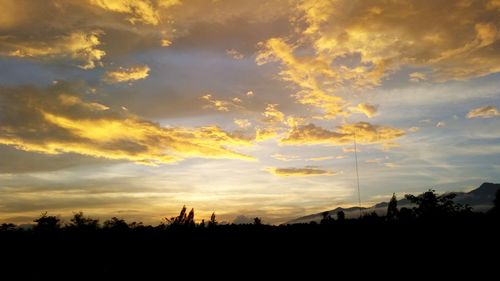 Silhouette trees against sky during sunset