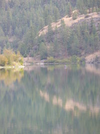 Scenic view of calm lake
