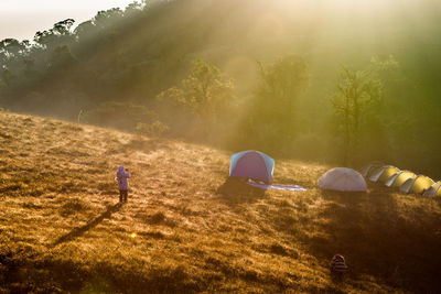 Rear view of woman standing on grassy field at campsite