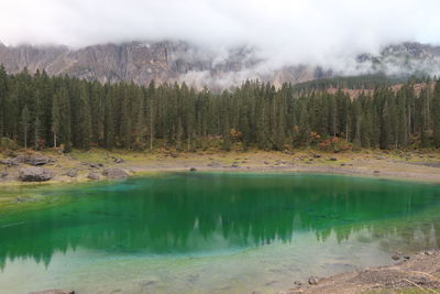 Scenic view of lake in forest against sky