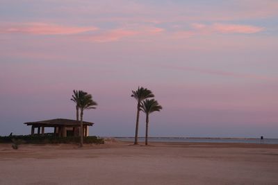 Palm trees on beach against sky at sunset