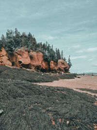 View of rock formation on land against sky