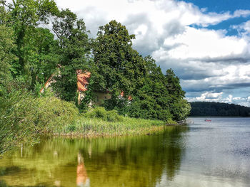 Tree by lake against sky