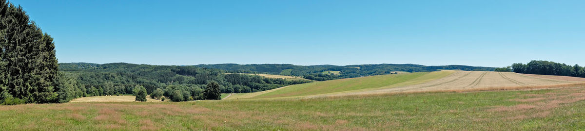 Scenic view of agricultural field against clear sky