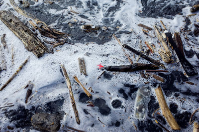 High angle view of sticks in sea