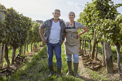 Smiling mature farmers standing amidst plants in vineyard on sunny day