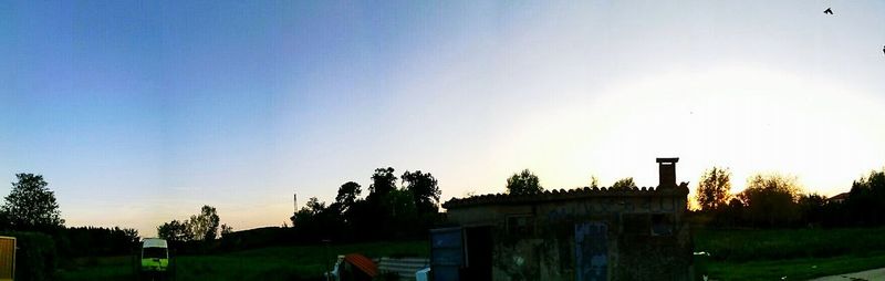 Trees on landscape against clear sky at dusk