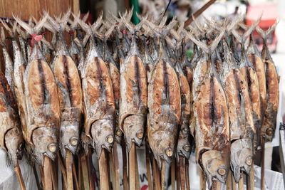 Close-up of fish for sale in market