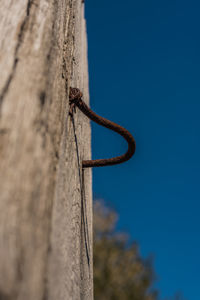 Low angle view of insect on wood against blue sky