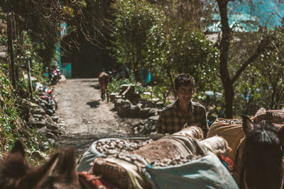 People relaxing in forest