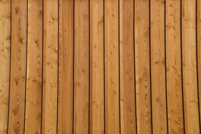 Close-up of bamboo on wood