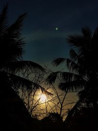 Low angle view of silhouette palm trees against sky during sunset