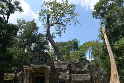 Exterior of temple against sky