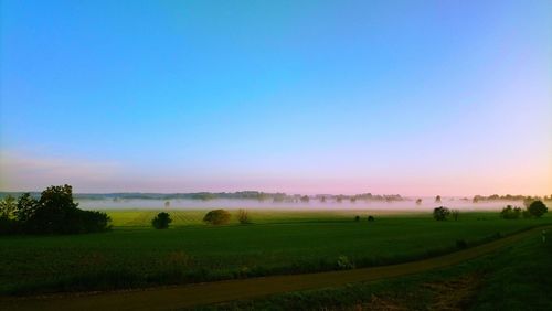 Scenic view of field against clear sky