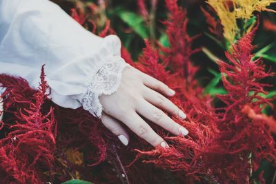 Hand on red flowers