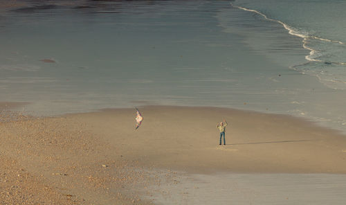Man with a kite on the beach
