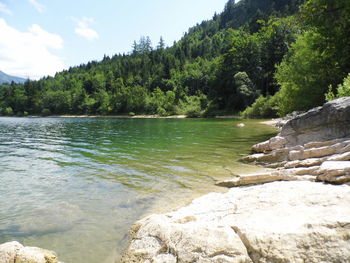 Scenic view of sea and trees