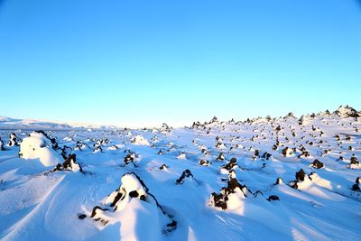 Snow field and horizon