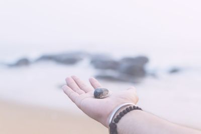 Cropped image of hand holding shell at beach