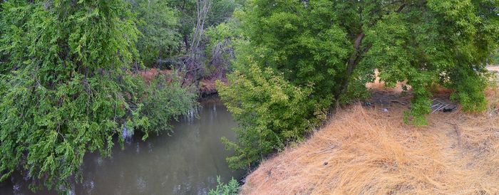 High angle view of river amidst trees in forest