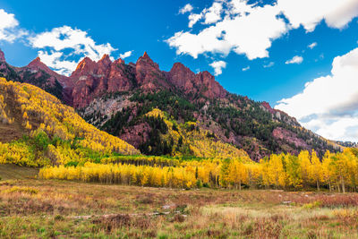 Scenic view of field against sky during autumn