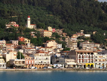 Buildings and trees in city