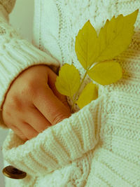 Close-up of hand holding leaf