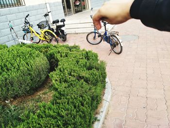 High angle view of man riding bicycle in city