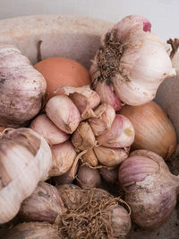 Close-up of rotten onions in garbage bin