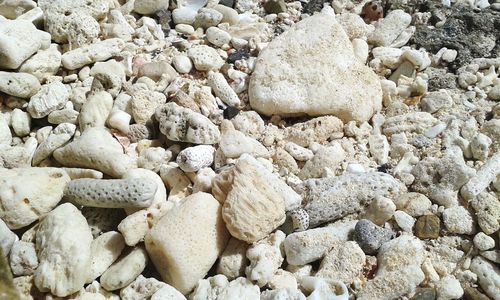 Full frame shot of rocks on beach
