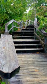 Wooden staircase in park