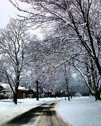 Snow covered road passing through forest
