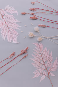 Details of dried plants placed on a gray surface