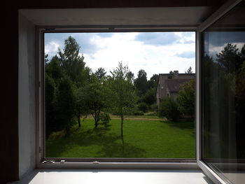 Trees and plants seen through glass window