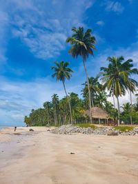 Praia de maragogi