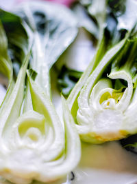 Full frame shot of food