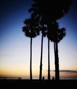 Silhouette palm trees on beach against sky during sunset