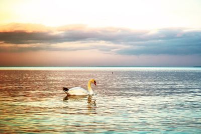 View of calm sea at sunset