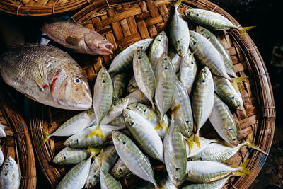 High angle view of fishes in market for sale